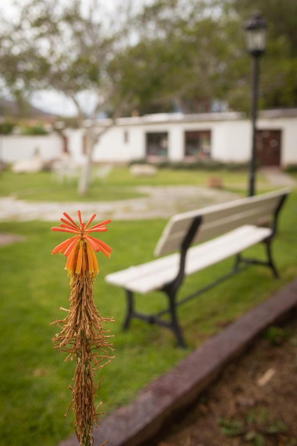 Tampu Hotel Cachí Kültér fotó